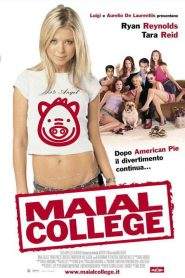 Maial college (2002)