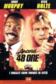 Ancora 48 ore (1990)