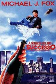 Il segreto del mio successo (1987)