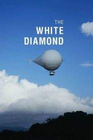 Il diamante bianco (2004)