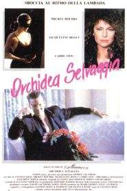 Orchidea selvaggia (1989)