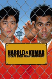 Harold & Kumar – Due amici in fuga (2008)