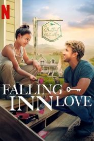 Falling Inn Love – Ristrutturazione con amore (2019)