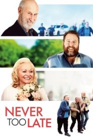 Never Too Late (2020)