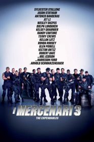 I mercenari 3 (2014)